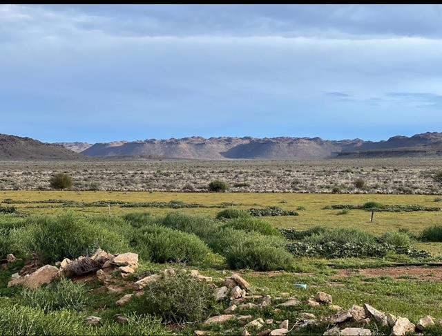 0 Bedroom Property for Sale in Williston Northern Cape